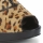 Sapatos Mulher Escarpim Paco Gil DRIST Leopardo / Preto