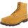Sapatos Homem Botas baixas Timberland CHILMARK 6 BOOT Amarelo
