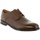 Sapatos Homem Sapatos & Richelieu Clarks 26130850 ELLIS 26130850 ELLIS 