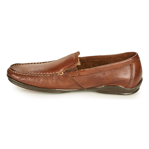 Fluchos BALTICO Castanho