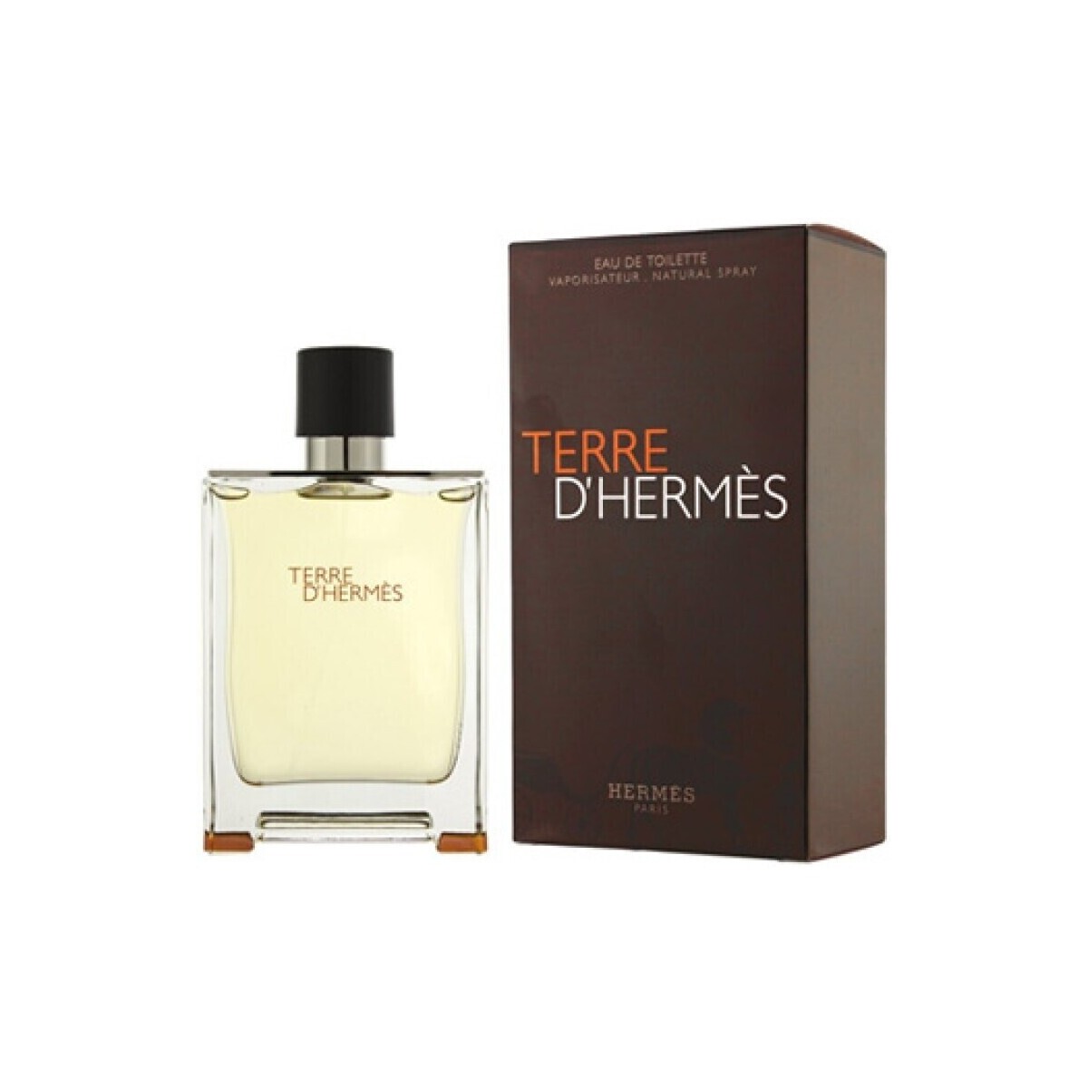 beleza Homem Colónia Hermès Paris Terre D' - colônia - 100ml - vaporizador Terre D'Hermes - cologne - 100ml - spray