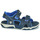 Sapatos Criança Sandálias wheat Timberland ADVENTURE SEEKER 2 STRAP Azul