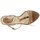Sapatos Mulher Sandálias Etro 3443 Castanho