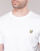Textil Homem T-Shirt mangas curtas Lyle & Scott FAFARLITE Branco