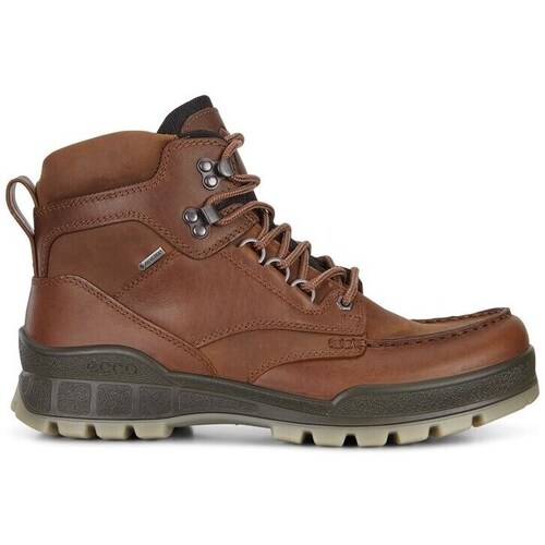Sapatos Homem Sapatilhas de cano-alto Ecco Track 25 Castanho