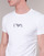 Textil Homem T-Shirt mangas curtas Emporio Armani CC715-PACK DE 2 Branco