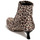 Sapatos Mulher Botins Katy Perry THE BRIDGETTE Leopardo