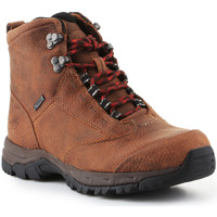 Sapatos Mulher Sapatos de caminhada Ariat Trekking shoes  Berwick Lace Gtx Insulated 10016229 brown