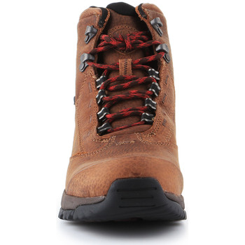 Ariat Trekking shoes  Berwick Lace Gtx Insulated 10016229 Castanho