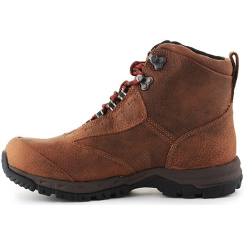 Ariat Trekking shoes  Berwick Lace Gtx Insulated 10016229 Castanho