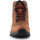 Sapatos Mulher Sapatos de caminhada Ariat Trekking Ladies shoes  Berwick Lace Gtx Insulated 10016229 brown