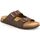 Sapatos Homem Chinelos Grunland DSG-CB1631 Castanho