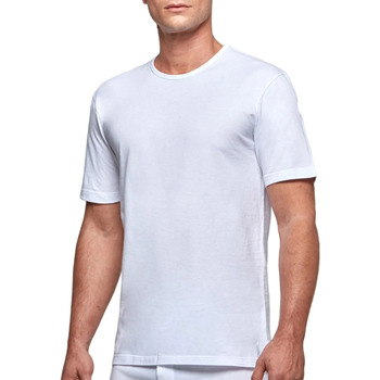 Textil Homem Pijamas / Camisas de dormir Impetus 1363002 001 Branco