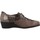 Sapatos Mulher Sapatos & Richelieu Argenta 30251 Castanho
