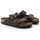 Sapatos Sandálias BIRKENSTOCK Arizona sfb Castanho