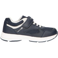 Sapatos Rapaz Multi-desportos Geox J845GA 0BC14 J HOSHIKO Azul