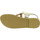 Sapatos Mulher Sandálias Attica Sandals ARTEMIS CALF GOLD Ouro