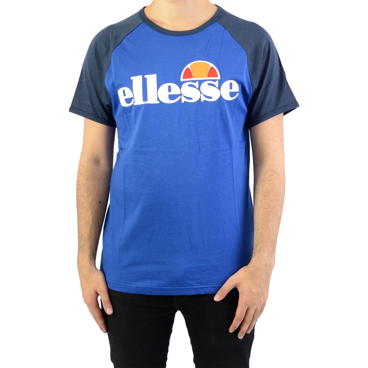 Textil Homem T-Shirt mangas curtas Ellesse 148441 Azul