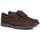 Sapatos Homem Sapatos & Richelieu Fluchos Crono 8855 Brown Castanho