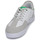 Sapatos Homem Sapatilhas DC Shoes VESTREY Branco / Verde