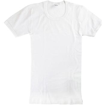 Textil Rapaz T-Shirt mangas curtas Abanderado 0302-BLANCO Branco