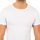Textil Homem T-Shirt mangas curtas Abanderado 0806-BLANCO Branco