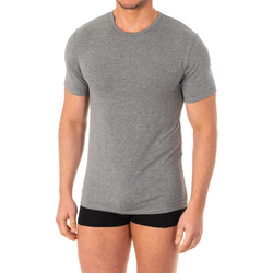 Roupa de interior Homem Camisolas de interior Abanderado Camiseta X-Temp m/corta Cinza