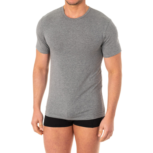 Textil Homem T-Shirt mangas curtas Abanderado A040W-GRIS-VIGORE Cinza