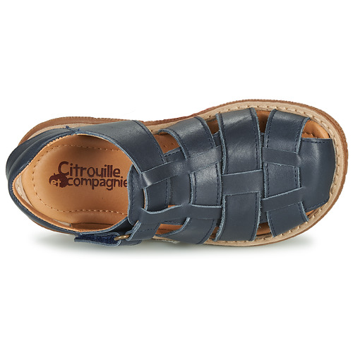 Citrouille et Compagnie GLENO Marinho