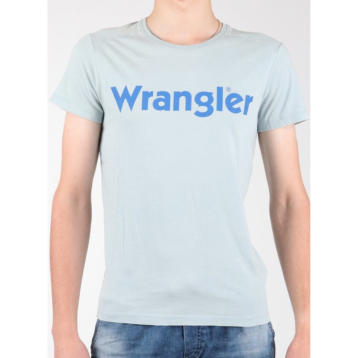 Textil Homem T-shirts e Pólos Wrangler S/S Graphic Tee W7A64DM3E Cinza