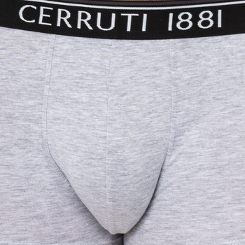 Cerruti 1881 109-002458 Cinza