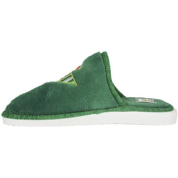 Sapatos Homem Chinelos Andinas Zapatillas Real Betis Verde