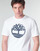 Textil Homem T-Shirt mangas curtas Timberland SS KENNEBEC RIVER BRAND TREE TEE Branco
