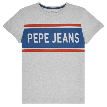 Textil Rapaz T-Shirt mangas curtas Pepe jeans TALTON Cinza