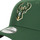 Acessórios Boné New-Era NBA THE LEAGUE MILWAUKEE BUCKS Verde