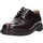 Sapatos Homem Sapatos & Richelieu Berwick 1707  Outros