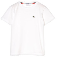 Textil Rapaz T-Shirt mangas curtas Lacoste NAE Branco