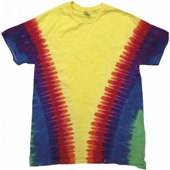 Textil T-Shirt mangas curtas Colortone TD05M Multicolor
