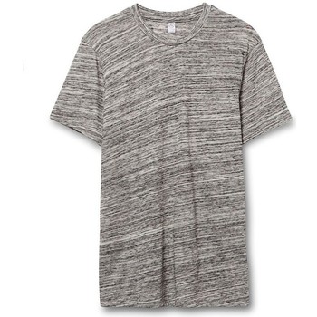 Textil Homem T-Shirt mangas curtas Alternative Apparel AT001 Cinza