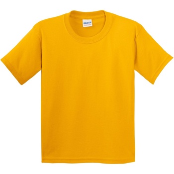 Textil Criança T-Shirt mangas curtas Gildan 5000B Multicolor