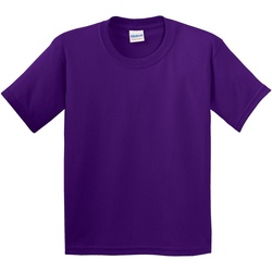 Textil Criança T-Shirt mangas curtas Gildan 5000B Violeta