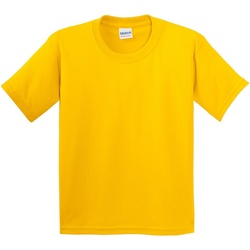 Textil Criança T-Shirt mangas curtas Gildan 5000B Multicolor