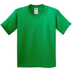 Textil Criança T-Shirt mangas curtas Gildan 5000B Verde