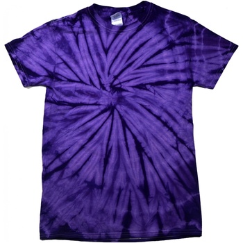 Textil T-Shirt mangas curtas Colortone Tonal Violeta