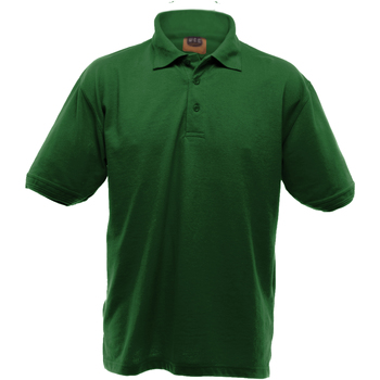 Textil Homem Polos mangas curta Ultimate Clothing Collection UCC004 Verde