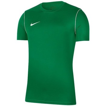 Nike Park 20 Verde