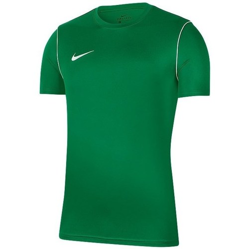 Textil Homem T-Shirt mangas curtas Nike Park 20 Verde