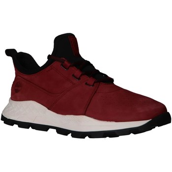 Sapatos Homem Multi-desportos Timberland A223P BROOKLYN Vermelho