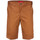 Textil Homem Shorts / Bermudas Dickies Industrial wk sht Castanho