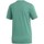 Textil Mulher T-Shirt mangas curtas adidas Originals Trefoil Tee Verde